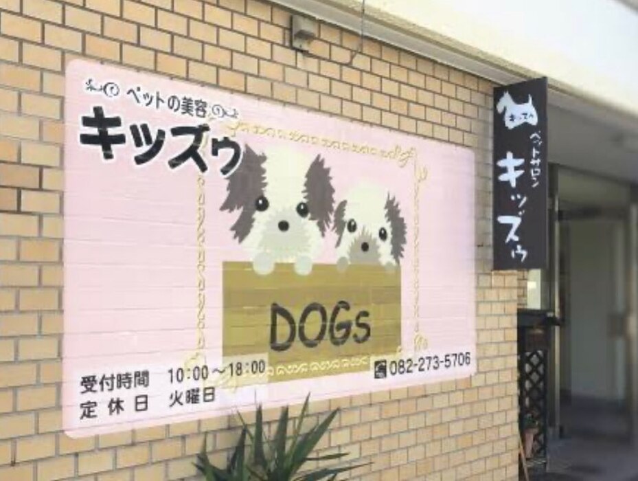 画像6676