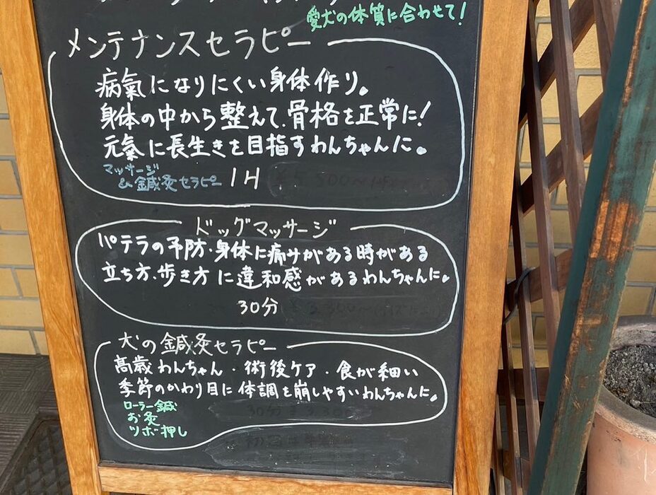 画像6677