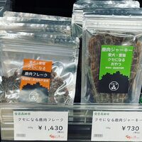 画像6685