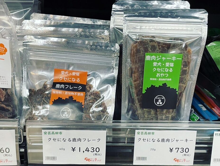 画像6685