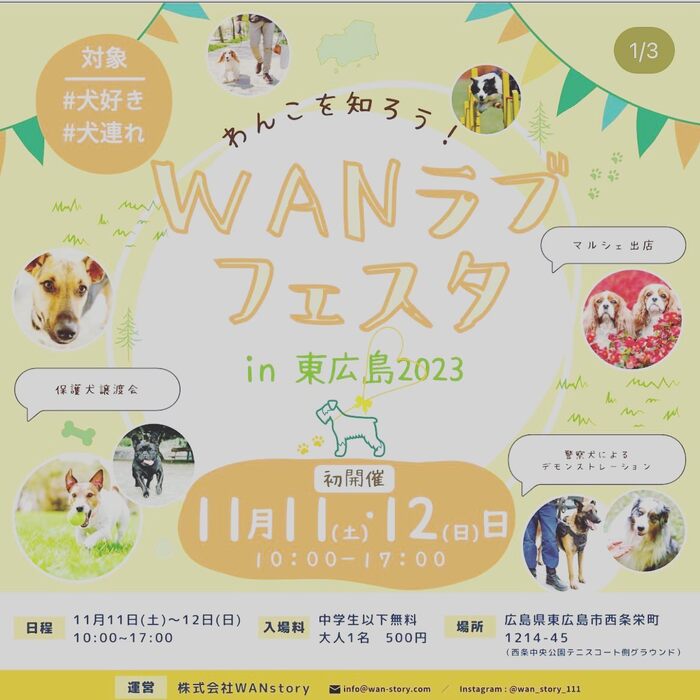 画像6735