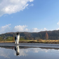 画像6779