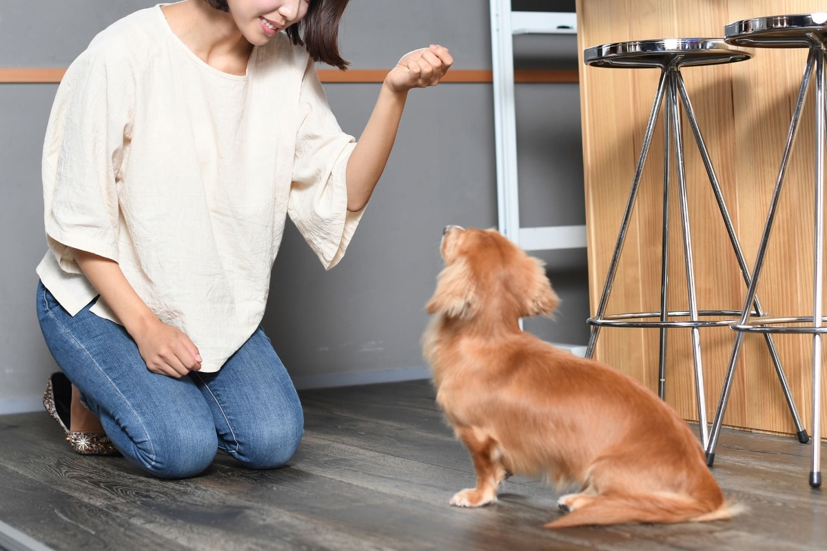 AdobeStock_455130696