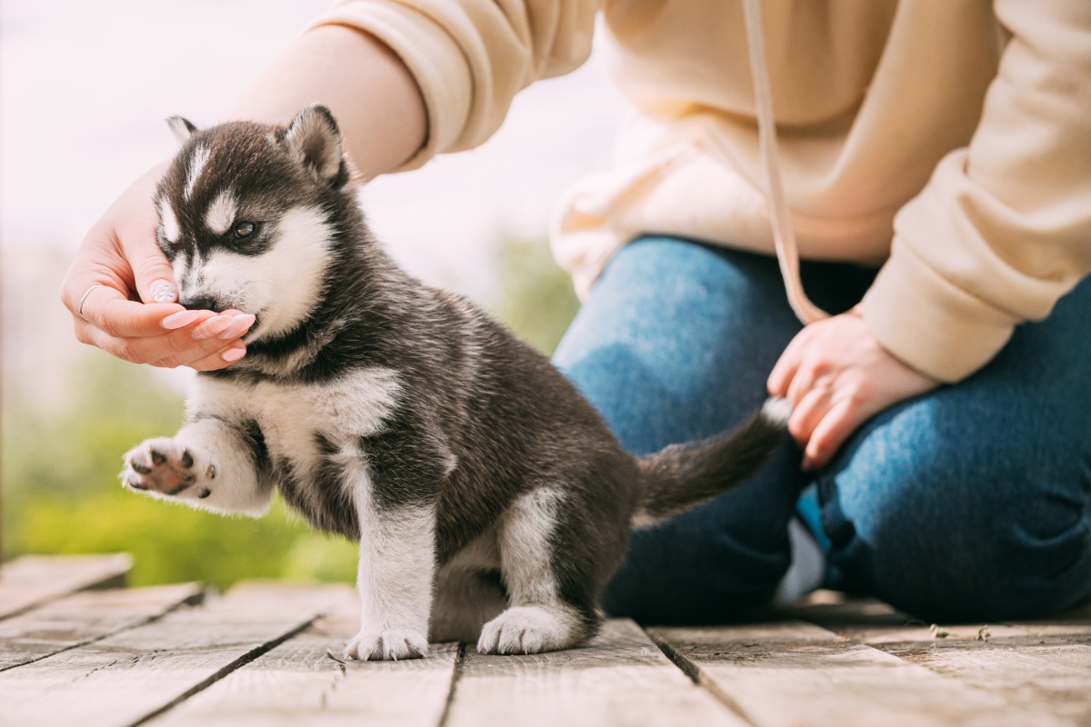 AdobeStock_381915490